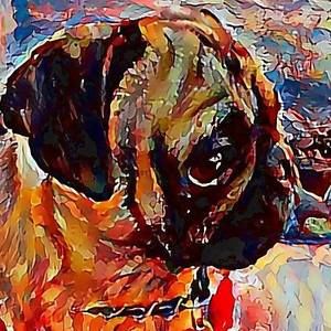 Meet your Posher, Maryann